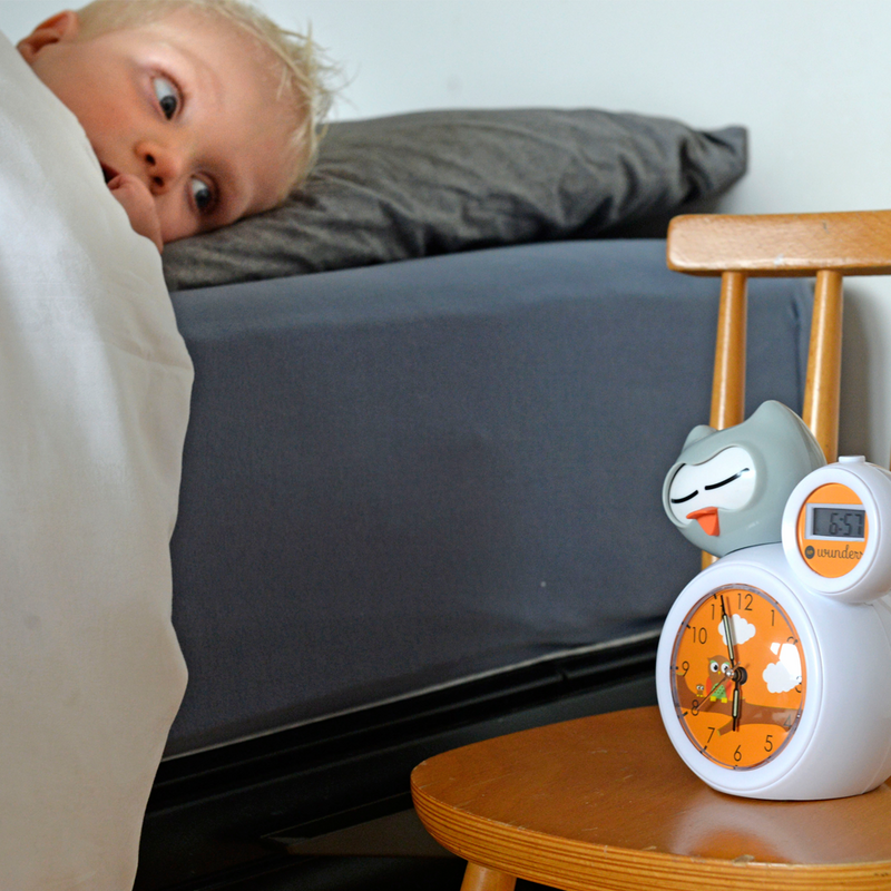 Sleep Trainer - Olly the Owl