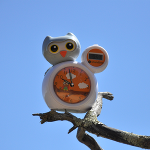 Sleep Trainer - Olly the Owl